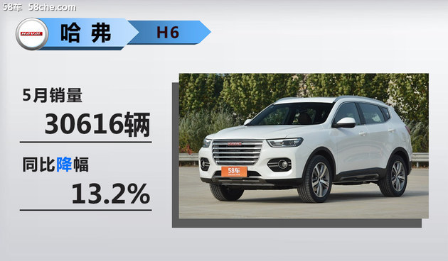 ,SUV