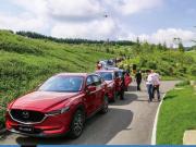 ԼԴCX-5/ ӰʻȤ