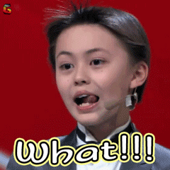 6-soogif-what.gif