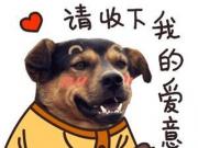 再甜腻的“好嘴”比不上靠谱的“好腿”