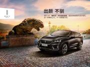 挑花眼的SUV市场 为什么不选合资品牌而选择他