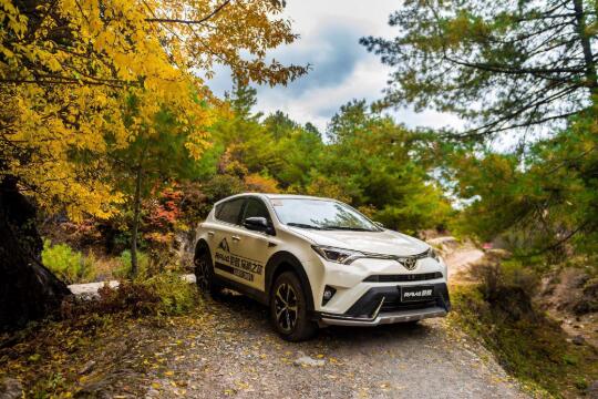 RAV4ٷ