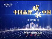 中国品牌赋能中国经济|央视财经“对话”吉利总裁安聪慧